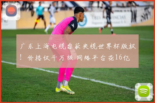广东上海电视台获央视世界杯版权!价格仅千万级 网络平台花16亿